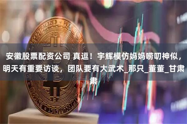 安徽股票配资公司 真逗！宇辉模仿妈妈唠叨神似，明天有重要访谈，团队要有大武术_那只_董董_甘肃