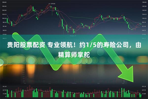 贵阳股票配资 专业领航！约1/5的寿险公司，由精算师掌舵